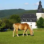Haflinger Reiterhof アパート