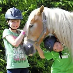 Haflinger Reiterhof アパート *