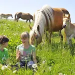 Haflinger Reiterhof アパート Meura
