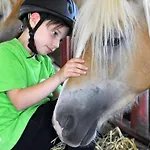 Haflinger Reiterhof アパート *