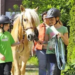 Haflinger Reiterhof アパート *