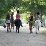 アパート Haflinger Reiterhof