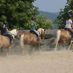 アパート Haflinger Reiterhof Meura