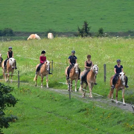 Haflinger Reiterhof Lejlighed