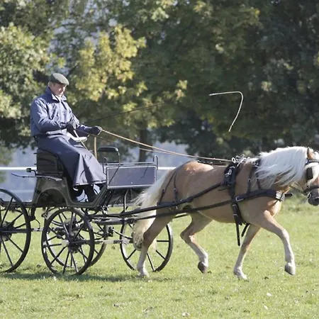 Haflinger Reiterhof Lejlighed