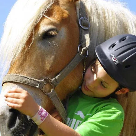 Haflinger Reiterhof Lejlighed *