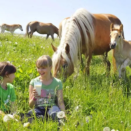 Haflinger Reiterhof Apartament Meura