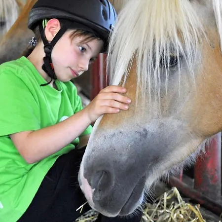 Haflinger Reiterhof Apartament *