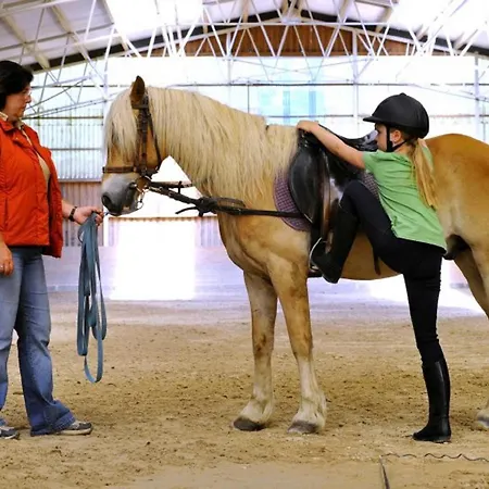 Haflinger Reiterhof *