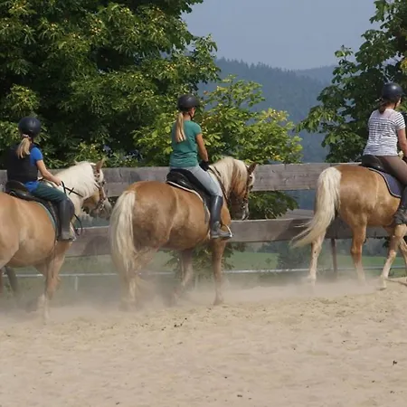 Apartament Haflinger Reiterhof Meura