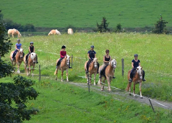 Haflinger Reiterhof Lejlighed