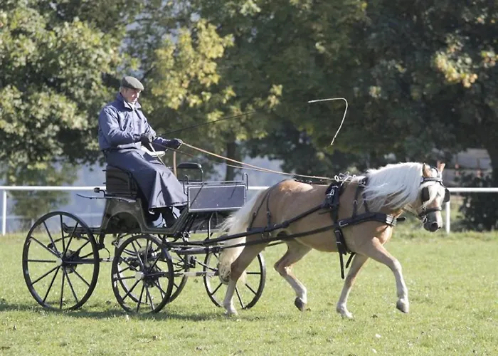 Haflinger Reiterhof Lejlighed