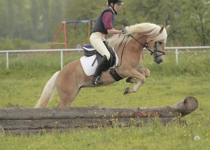 Lejlighed Haflinger Reiterhof