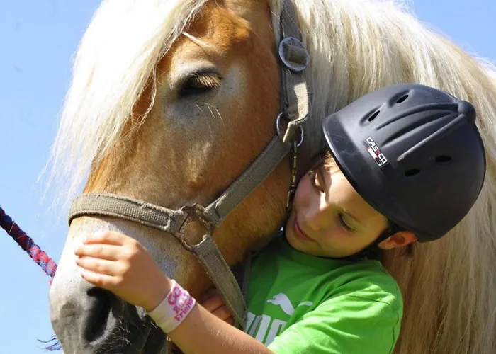 Haflinger Reiterhof Lejlighed *
