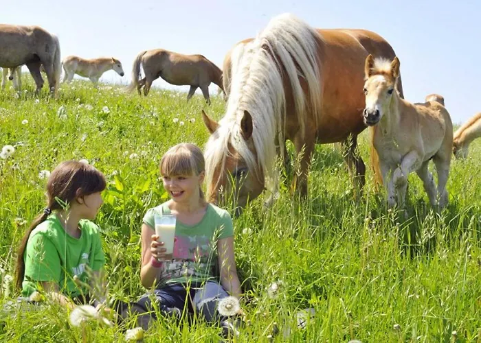 Haflinger Reiterhof Lejlighed Meura