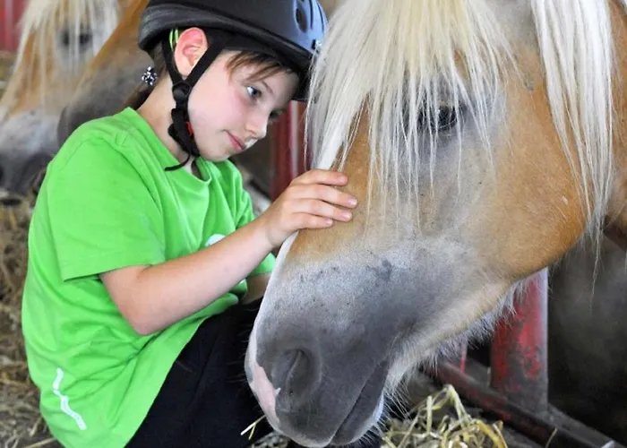Haflinger Reiterhof Lejlighed *