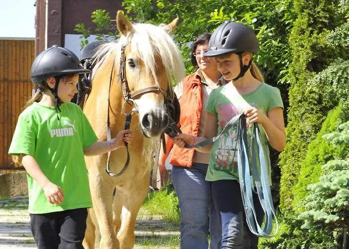 Haflinger Reiterhof Lejlighed *