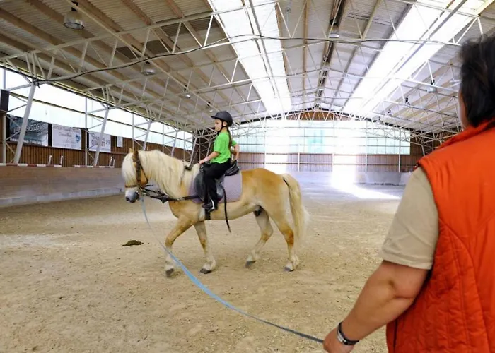 Lejlighed Haflinger Reiterhof *