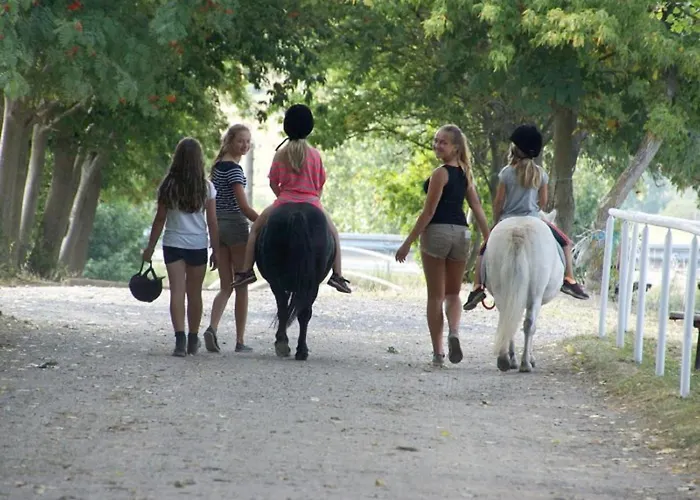 Lejlighed Haflinger Reiterhof