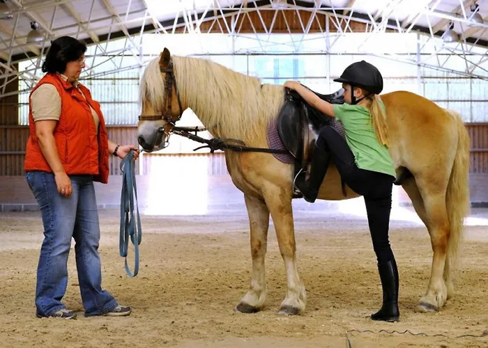 Haflinger Reiterhof *