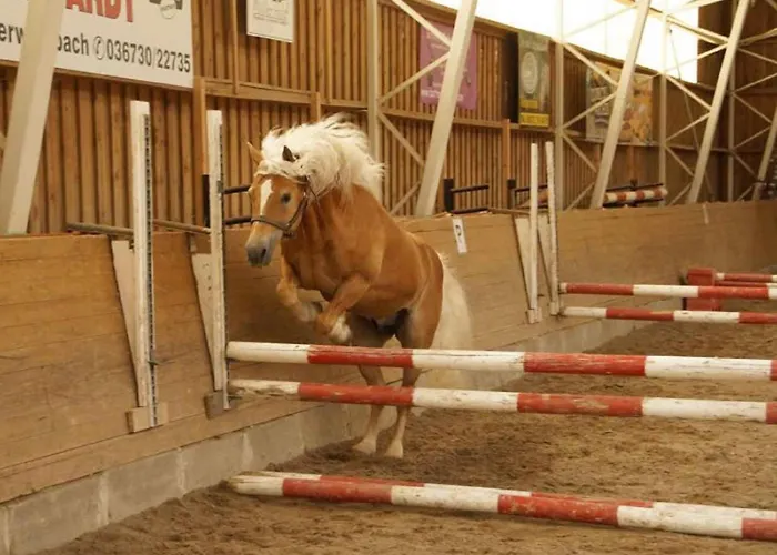 Haflinger Reiterhof Appartement Meura