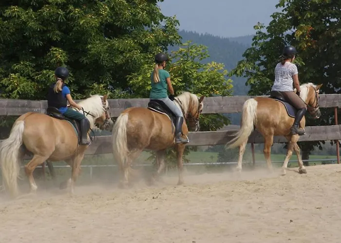 Lejlighed Haflinger Reiterhof Meura